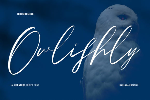 Owlishly: A Font That Elevates Your Brand