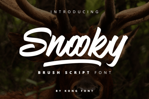 Snooky: A Playful Font for Business Branding